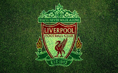 九体育动态-厄德高这视野太离谱