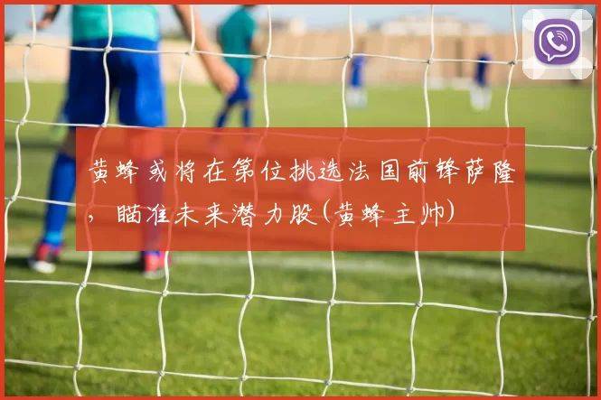 黄蜂或将在第位挑选法国前锋萨隆，瞄准未来潜力股(黄蜂主帅)